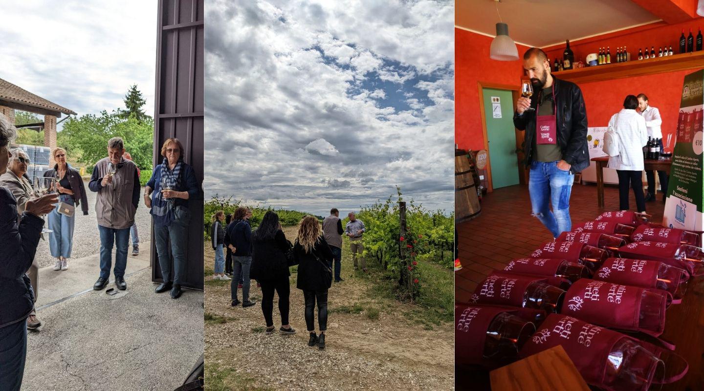 Immagine per Cantine aperte richiama 50mila persone, brindisi nel Goriziano